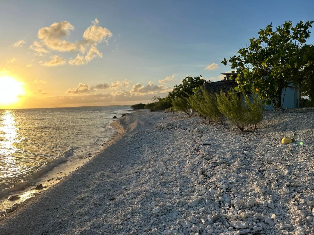 Le rivage du motu au coucher du soleil
