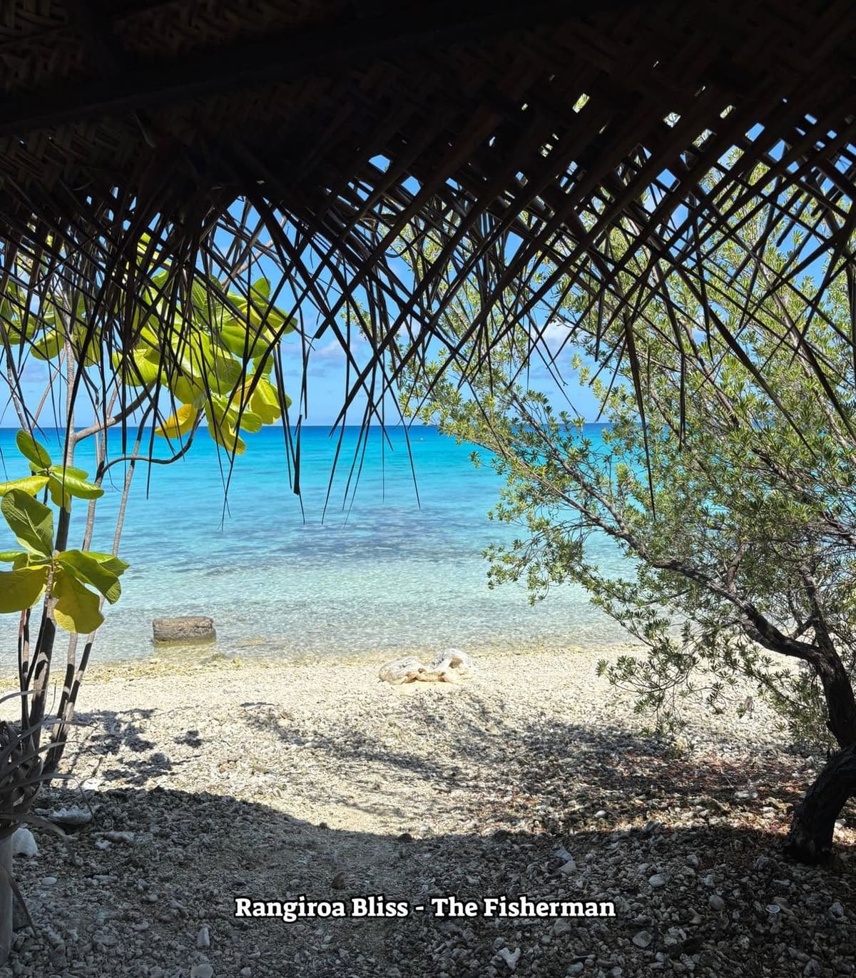 Les eaux turquoise du lagon depuis la plage